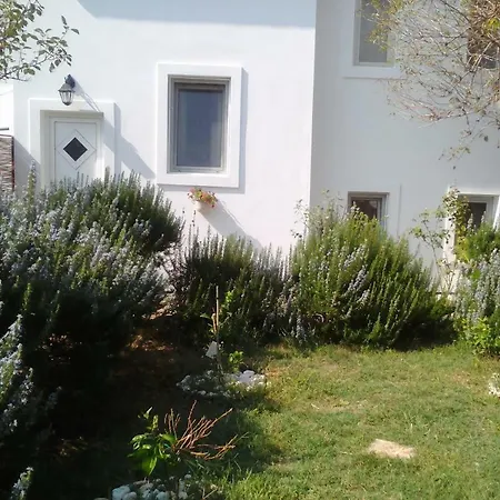 Apartament Lovor Silba