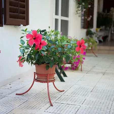Apartament Lovor *